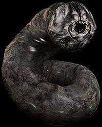 greedyworm.jpg