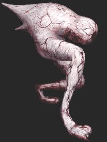 numbbody.jpg